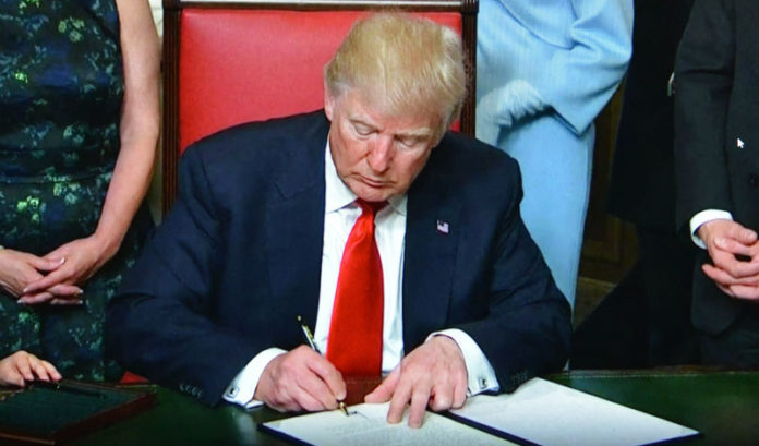 donald trump crop